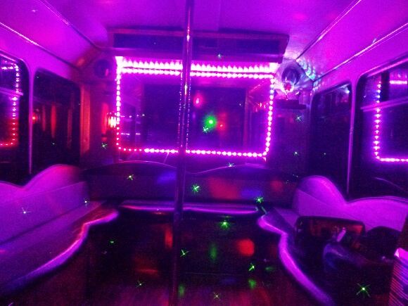 18 passenger party bus